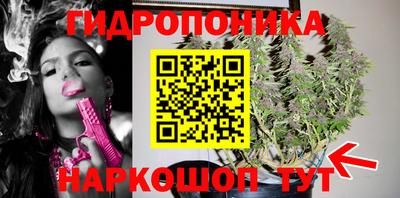 трава Кунгур
