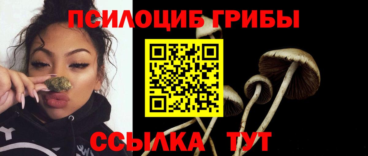Егорьевск  Галлюциногенные грибы прущие грибы  Вход с VPN 