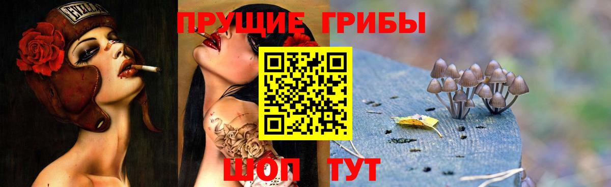 Галлюциногенные грибы MAGIC MUSHROOMS Егорьевск